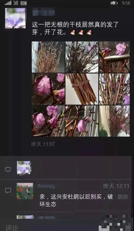 7种花不要随便挖，轻则罚款，重则坐牢！