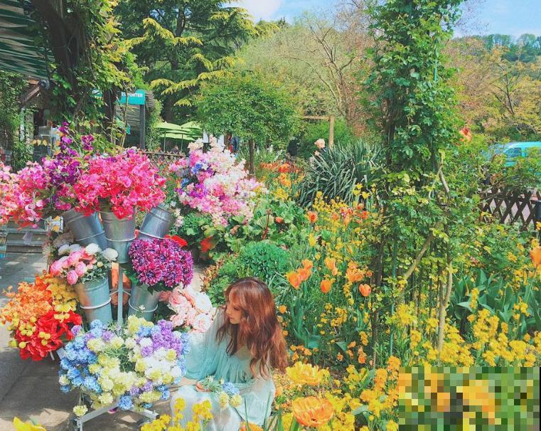 古典中式园林，清幽宁静，古朴雅致！