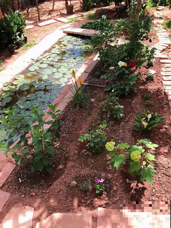 女儿辞职，回家养花，老爸说：15亩地，你负责养花，我负责蔬果！