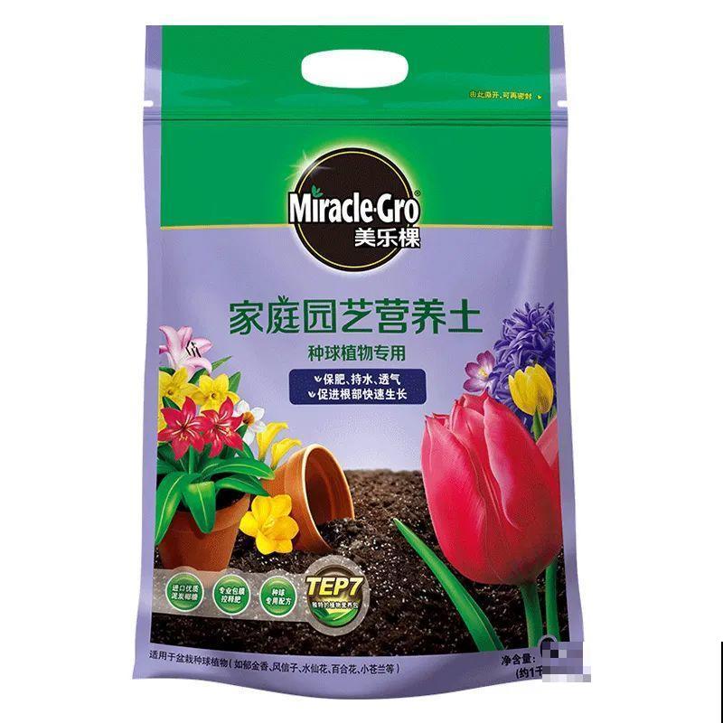 2块钱一盆的花,竟然开出一大片,谁不买亏大了! 2块钱一盆的花,竟然开出一大片,谁不买亏大了!