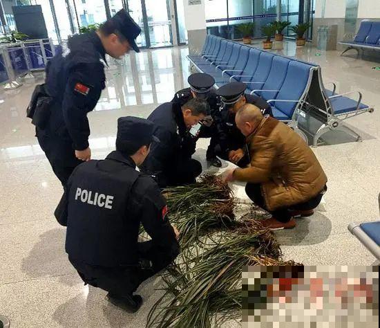 7种花不要随便挖，轻则罚款，重则坐牢！