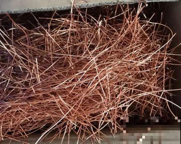 花盆里埋一捆电线，竟然再也不黄叶，花还蹭蹭开爆！