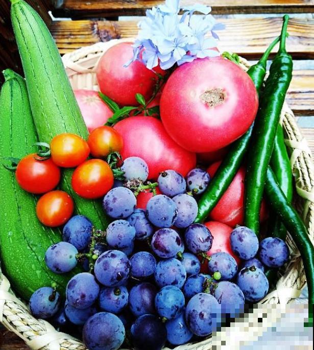 今日入伏,养花别做3件事,不然分分钟枯死! 今日入伏,养花别做3件事,不然分分钟枯死!