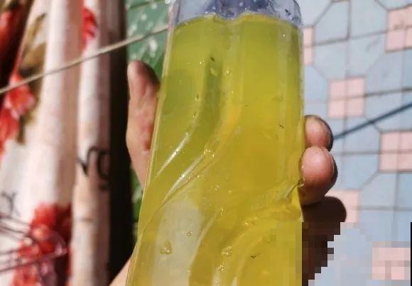 可以浇花的药,过期也要留着,保花不生虫、不生病! 可以浇花的药,过期也要留着,保花不生虫、不生病!