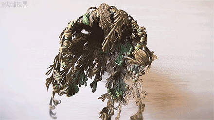 神奇的卷柏，可以起死回生，喷点水就复活！