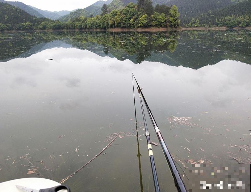 一个大男人,特别喜欢养花,这是种什么样的心态? 一个大男人,特别喜欢养花,这是种什么样的心态?