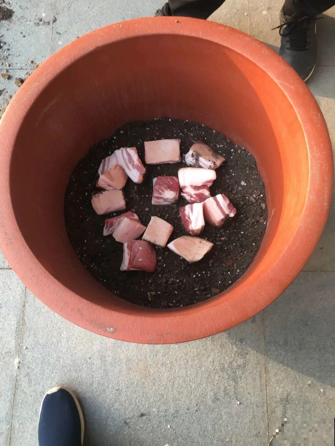 1种花只在夜里开，一次能开50朵，摘下来炒鸡蛋特香！