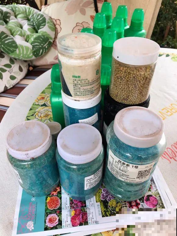 女儿辞职，回家养花，老爸说：15亩地，你负责养花，我负责蔬果！