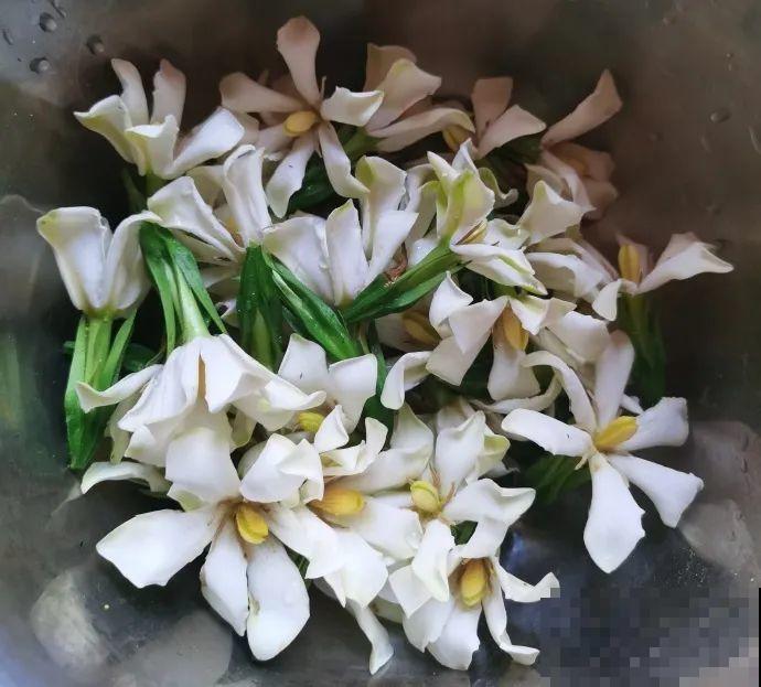 夏天这8种花，可以当菜吃，再不摘就没了！