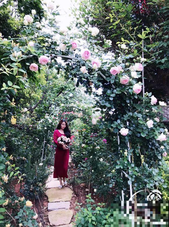 女儿辞职，回家养花，老爸说：15亩地，你负责养花，我负责蔬果！