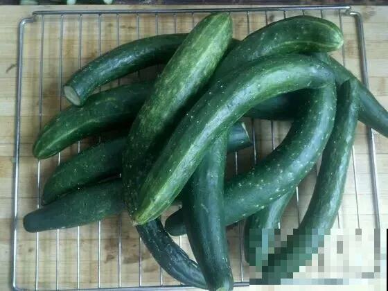 邻居酱黄瓜的秘方，好吃停不下来，一顿能吃三碗米饭