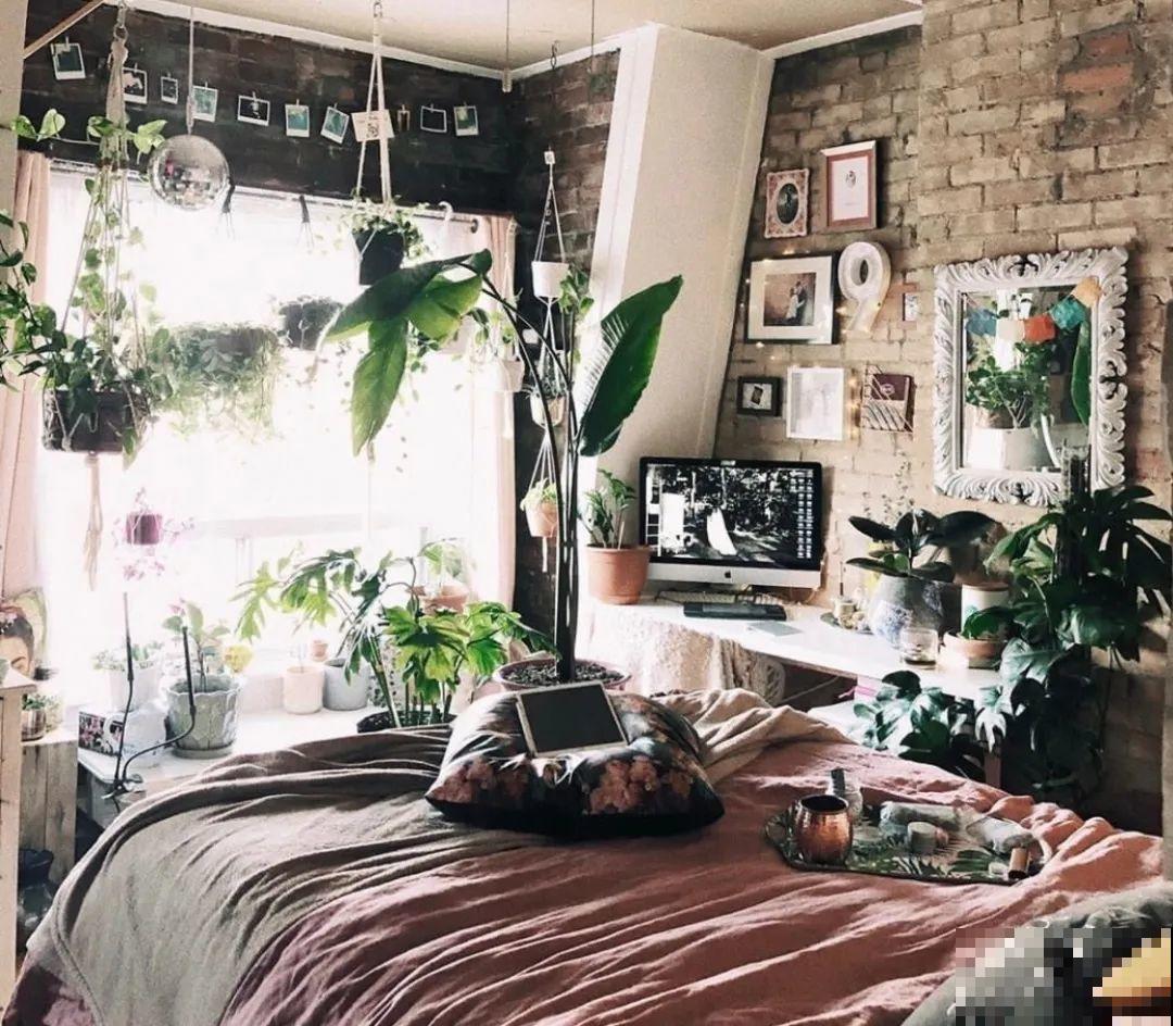 5种花,卧室不能养,离太近都不好! 5种花,卧室不能养,离太近都不好!