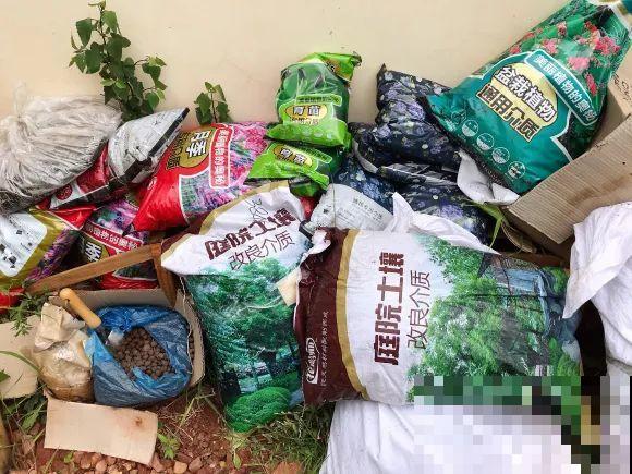 女儿辞职，回家养花，老爸说：15亩地，你负责养花，我负责蔬果！