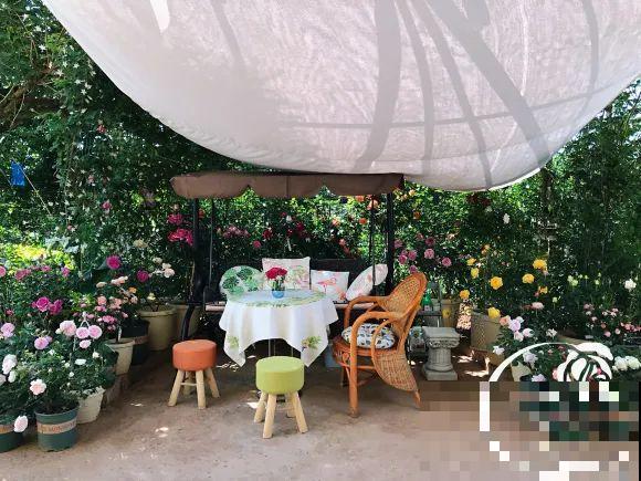 女儿辞职，回家养花，老爸说：15亩地，你负责养花，我负责蔬果！