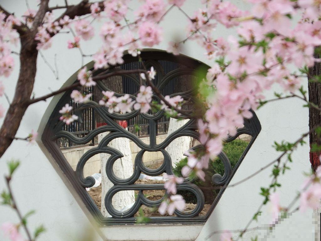 古典中式园林,清幽宁静,古朴雅致! 古典中式园林,清幽宁静,古朴雅致!