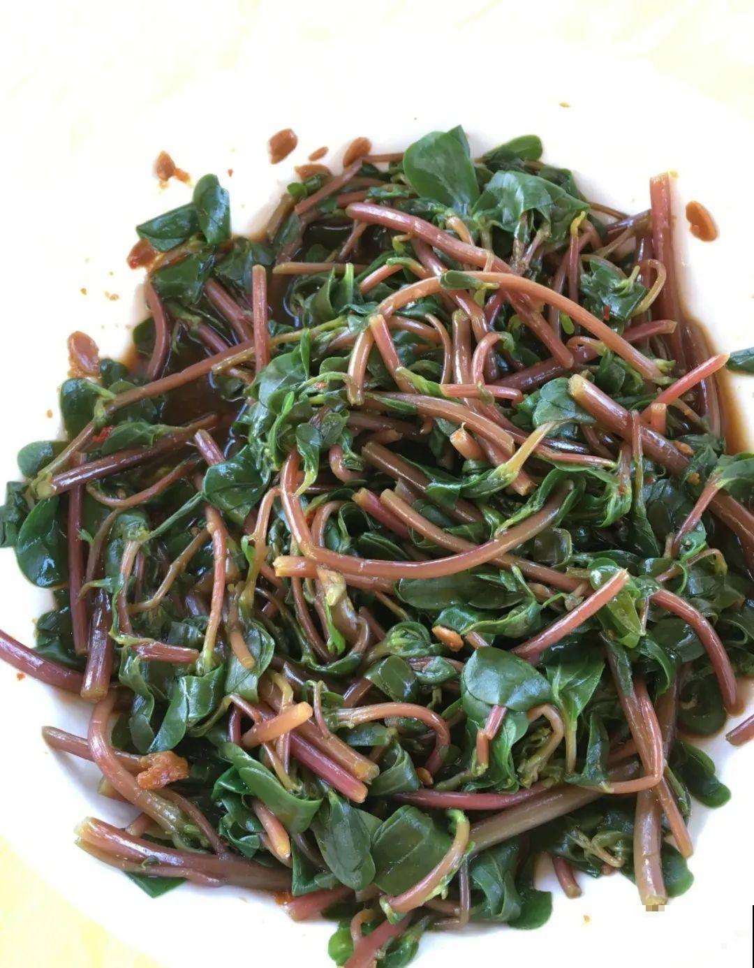 7月野菜金不换，2块钱一捆，凉拌吃格外香！