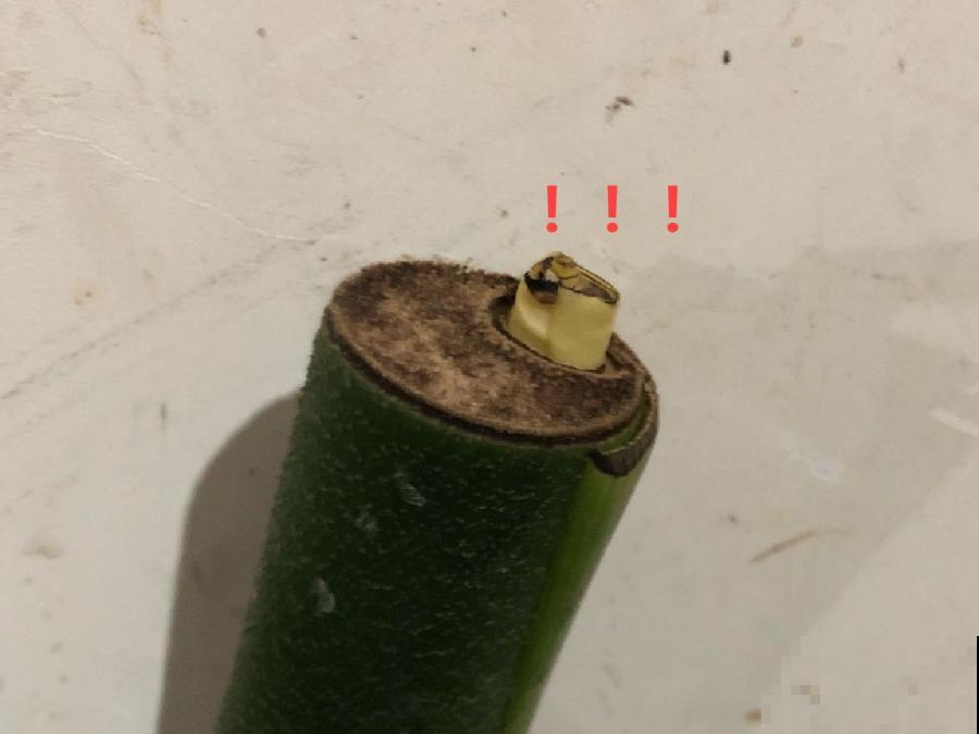 茉莉花扦插有机关，砍这一段枝条，插土里3天就活！
