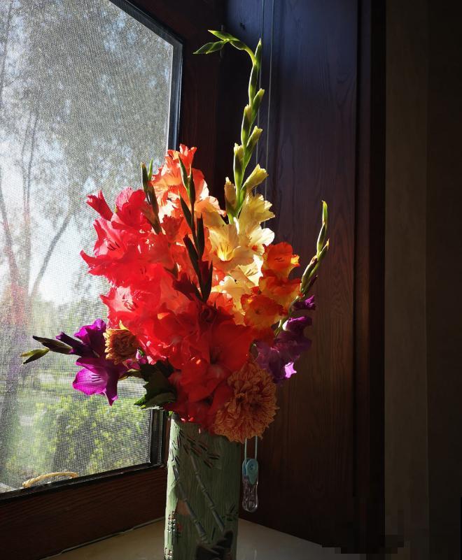 大门口种一丛它，开花一串几十朵，邻居天天跑来看！