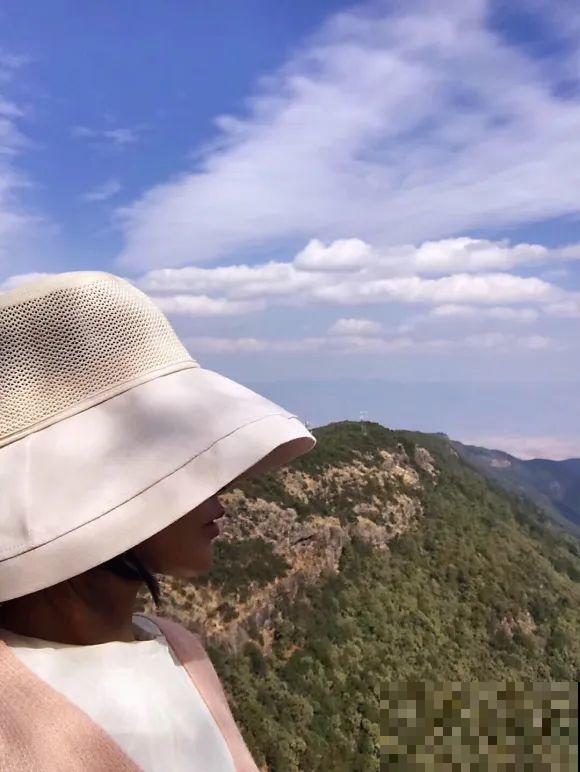 女儿辞职，回家养花，老爸说：15亩地，你负责养花，我负责蔬果！