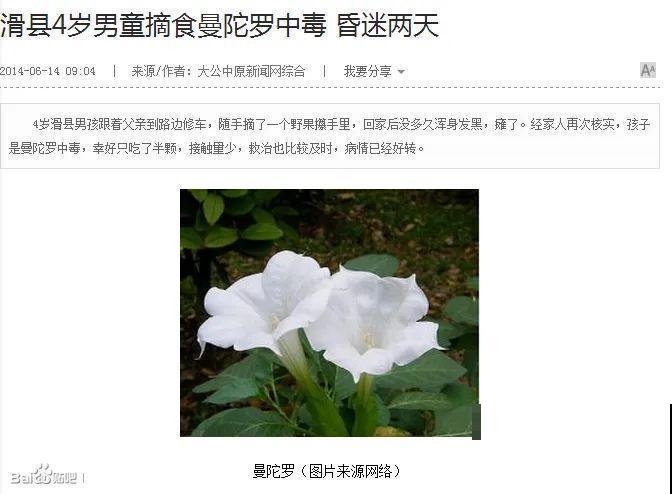 10种花有剧毒，遇到千万别乱碰，小心中毒！