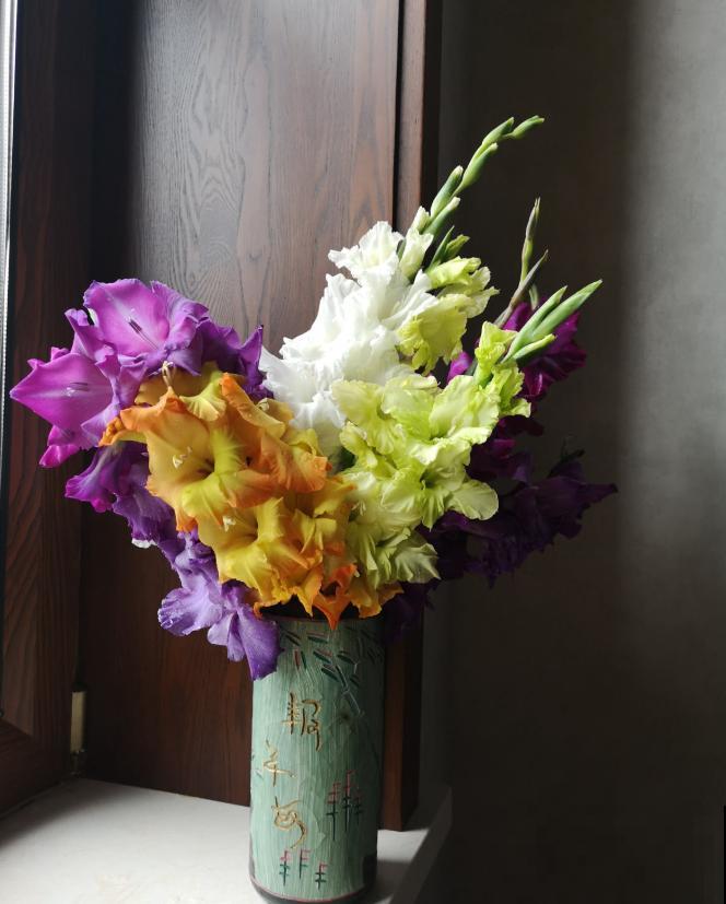 大门口种一丛它，开花一串几十朵，邻居天天跑来看！