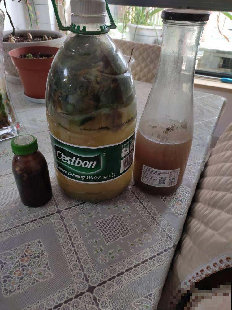 水里兑点柠檬汁，直接灌土里，花叶长得都旺盛