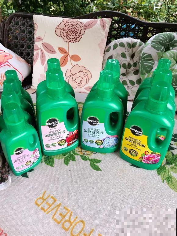 女儿辞职，回家养花，老爸说：15亩地，你负责养花，我负责蔬果！