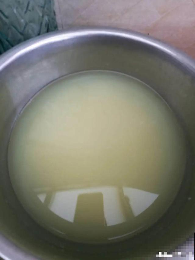 路边这些草，居然都是杀虫剂，赶紧薅一把养花用！