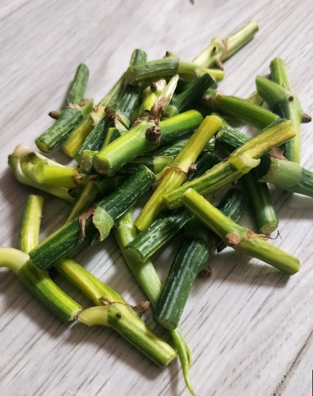 养花要狠得下心,枝条剁八段,呼呼长成新盆栽 养花要狠得下心,枝条剁八段,呼呼长成新盆栽