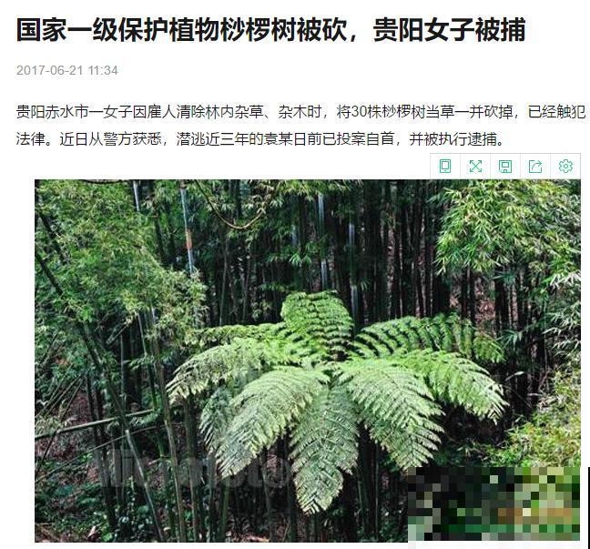 7种花不要随便挖，轻则罚款，重则坐牢！