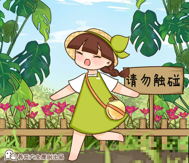 路边这花太诱人，但是千万别去碰，搞不好有大麻烦！