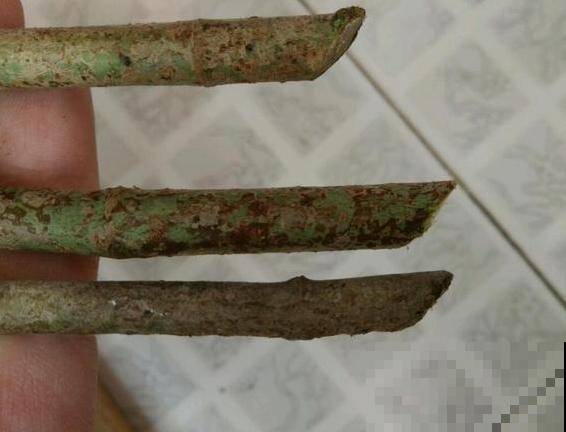 6种花扦插,杆子越粗越好活,根长成大扫把! 6种花扦插,杆子越粗越好活,根长成大扫把!