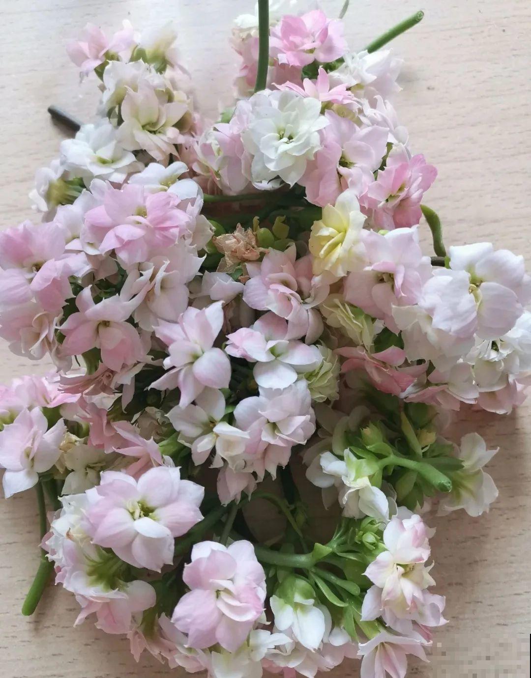 3种花,不要随便剪叶子,否则剪完不开花,亏了! 3种花,不要随便剪叶子,否则剪完不开花,亏了!