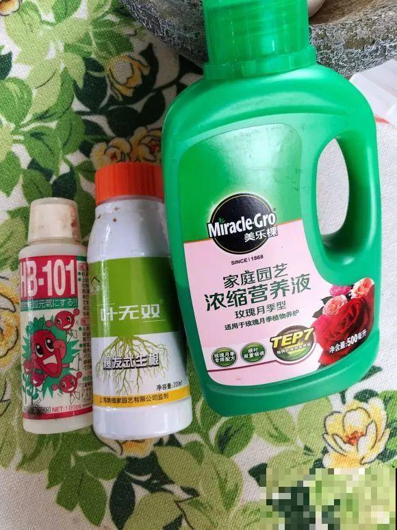 女儿辞职，回家养花，老爸说：15亩地，你负责养花，我负责蔬果！