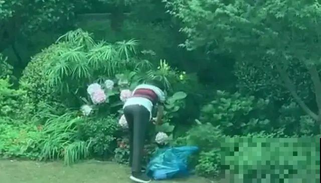 7种花不要随便挖，轻则罚款，重则坐牢！