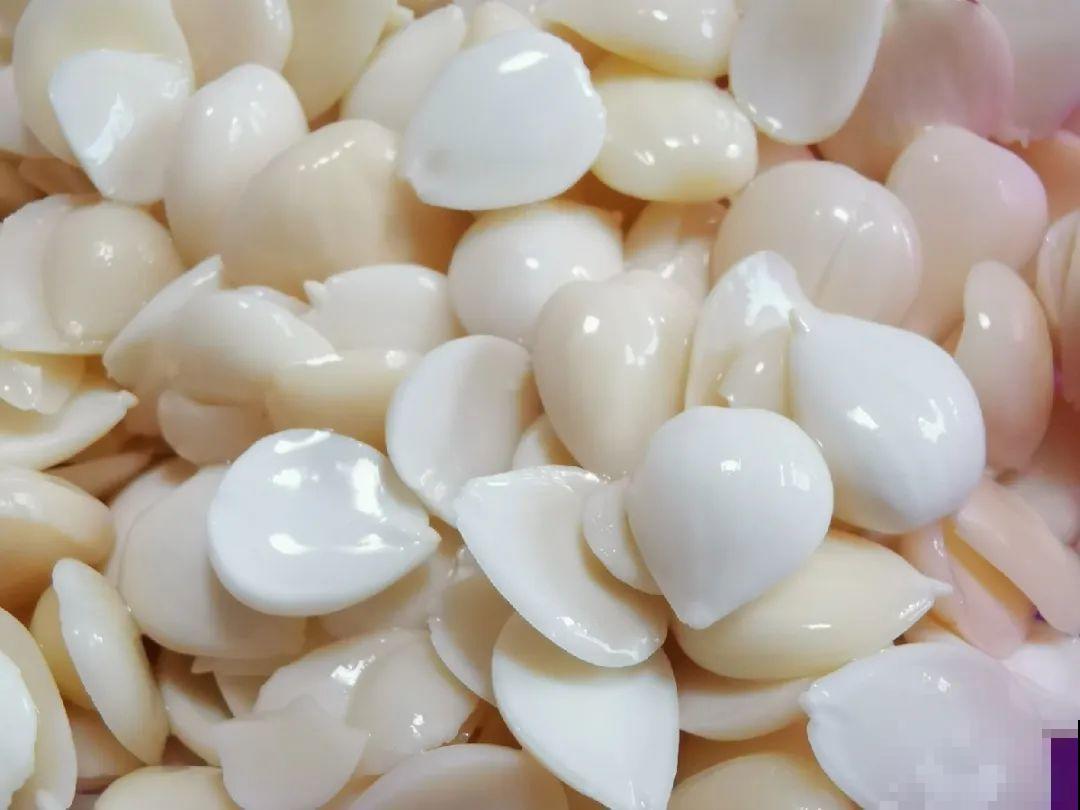 有些花有毒,家里有孩子要注意,不能乱碰 有些花有毒,家里有孩子要注意,不能乱碰