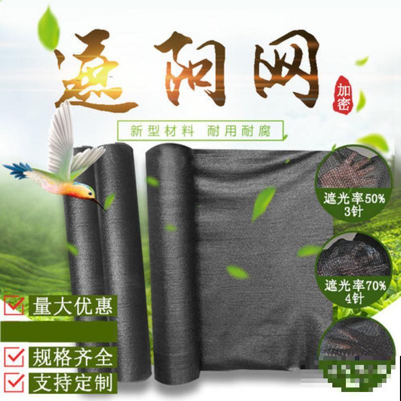 今日入伏,养花别做3件事,不然分分钟枯死! 今日入伏,养花别做3件事,不然分分钟枯死!