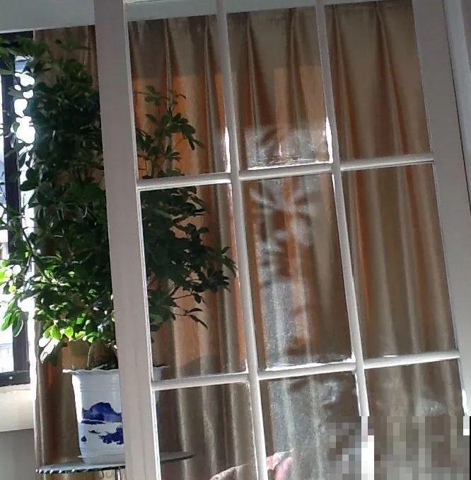 10种花，现在搬出去养，死不了还能长花苞！