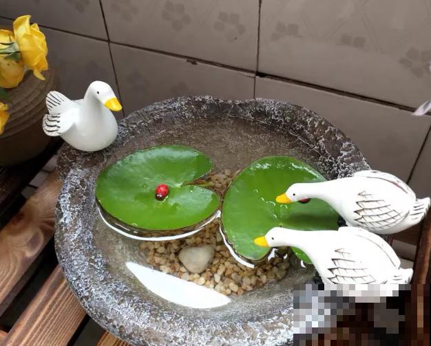 花盆里摆了个小东西，花长得更好看，朋友看了都想搬走！
