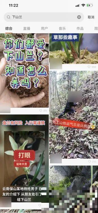 7种花不要随便挖，轻则罚款，重则坐牢！