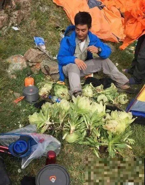 7种花不要随便挖，轻则罚款，重则坐牢！