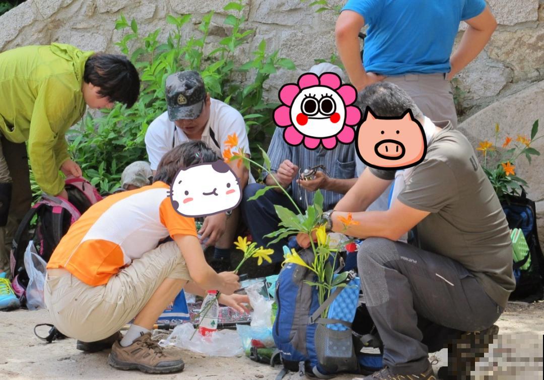 7种花不要随便挖，轻则罚款，重则坐牢！