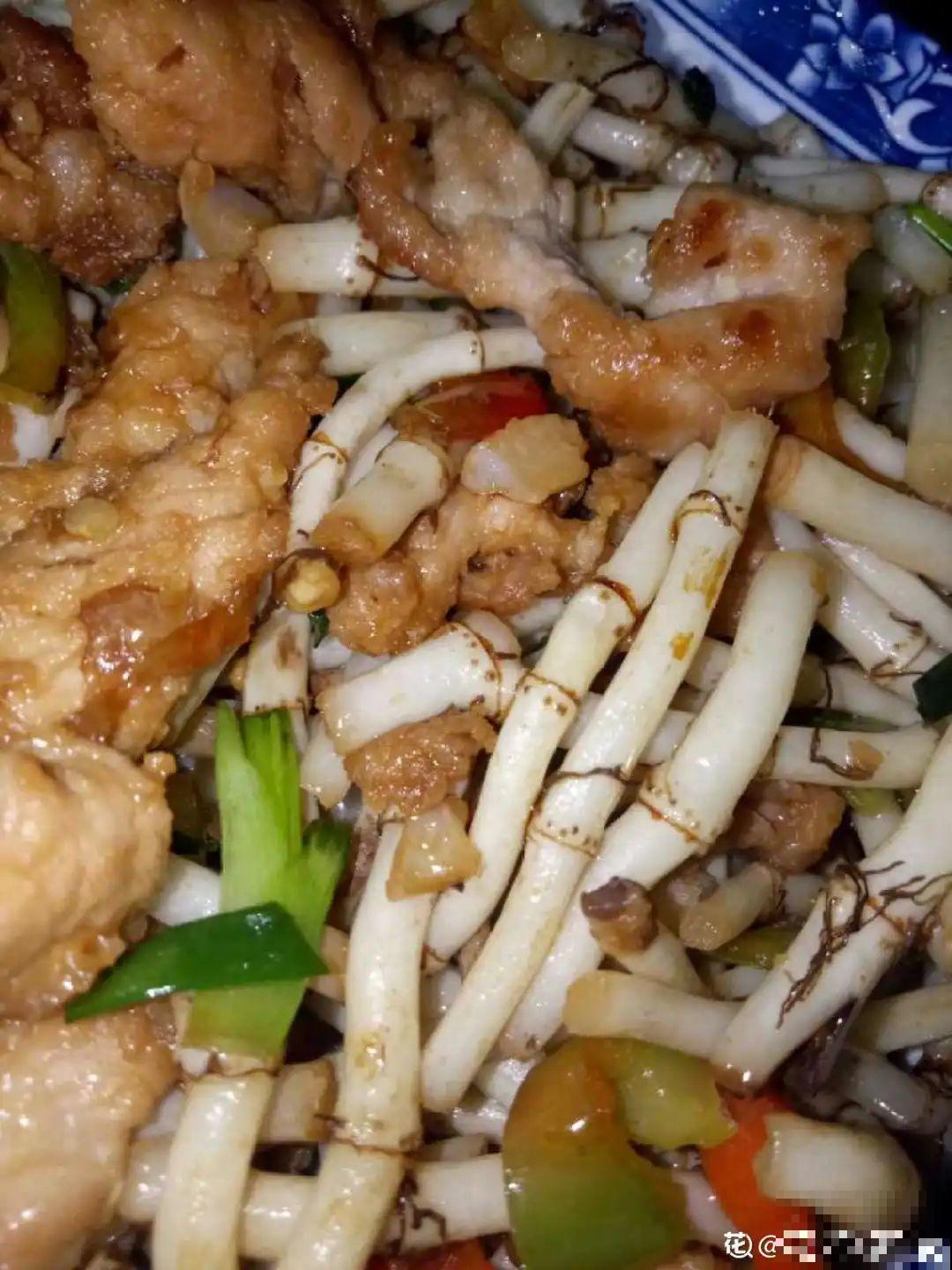 秋天野菜贵如金，赶紧上山挖，很快就老了