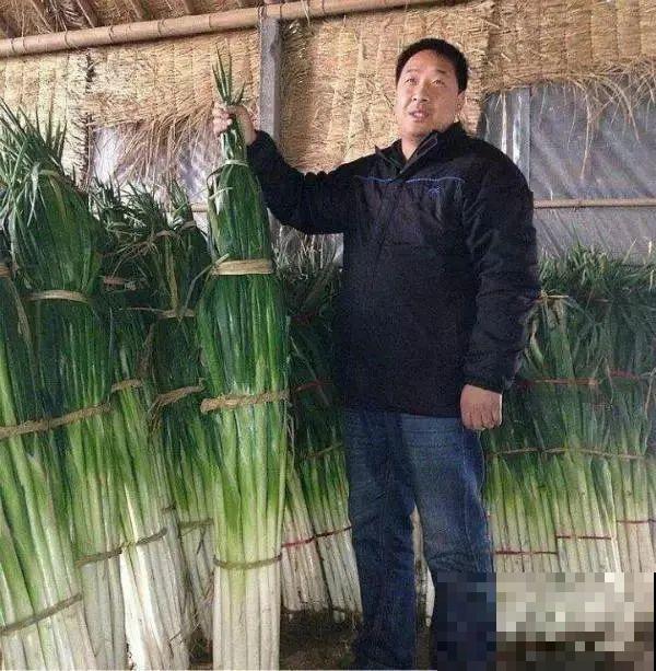 农村大姐，种出1.5米大冬瓜，我看谁还敢说矮！