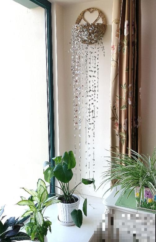 5种多肉，吊起来养，长成一面瀑布太霸气！