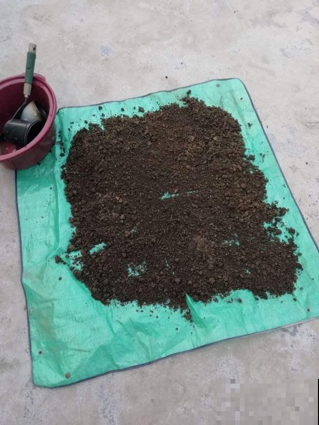 土壤消毒，试了才知道，这种方法才最靠谱