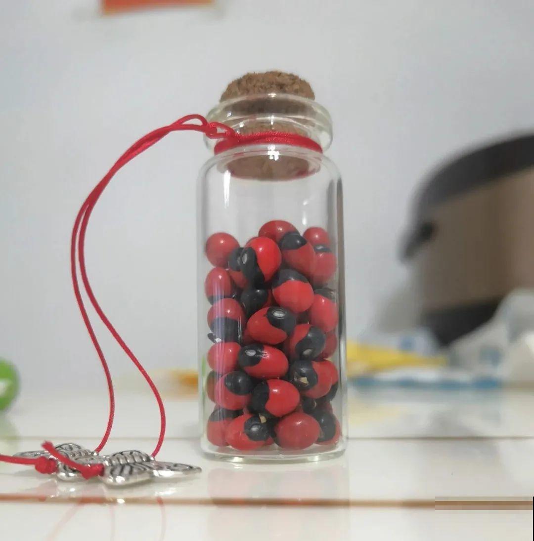 路边捡的果子有剧毒，看见了要躲开！