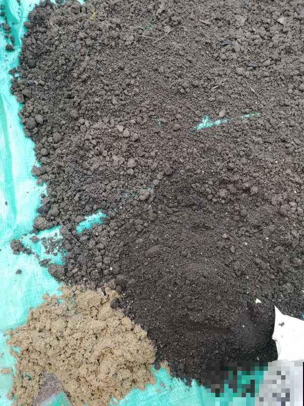 什么才是好的园土,养了这么久的花,现在才分清 什么才是好的园土,养了这么久的花,现在才分清