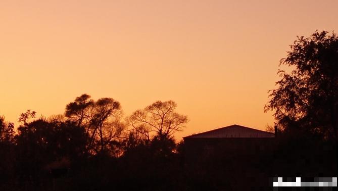 养花人都有个田园梦:一处小院,繁花盛开! 养花人都有个田园梦:一处小院,繁花盛开!