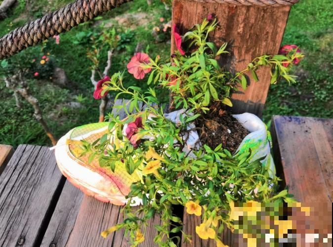 还敢说你的花园有创意?看看这些脑洞设计,一般人做不来! 还敢说你的花园有创意?看看这些脑洞设计,一般人做不来!